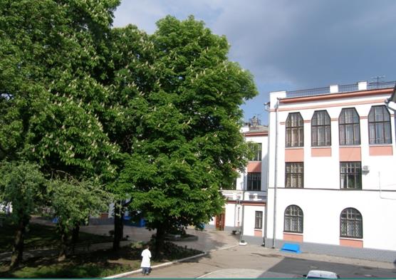 National Scientific Center «Institute of Experimental and Clinical Veterinary Medicine»